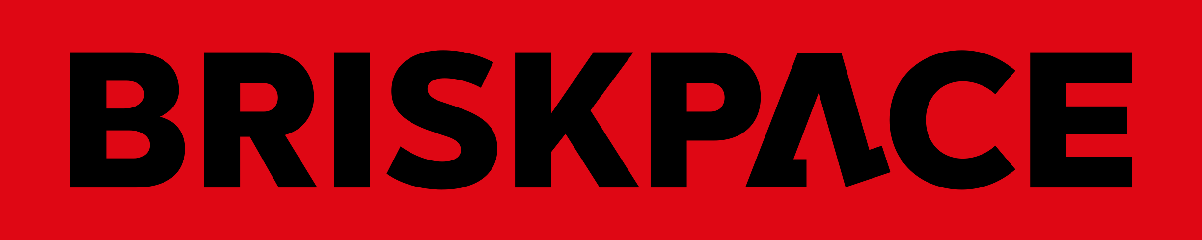 Briskpace Logo large